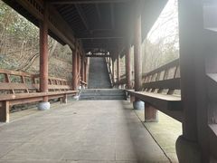 -巢湖姥山岛