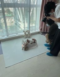 -广州和睦家医院·医学月子