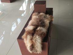 -肃宁华斯国际裘皮城