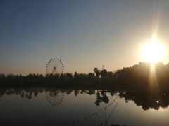 -金卉庄园
