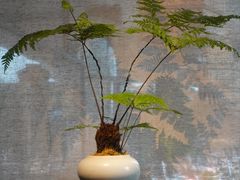 -晟永興(三里屯店)