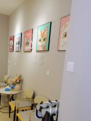 -洗脸猫·洗脸吧