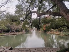 -西溪国家湿地公园