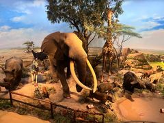 -陕西自然博物馆