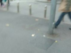 -同济大学(沪西校区)