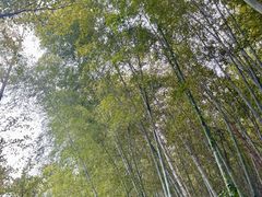 -九龙潭景区
