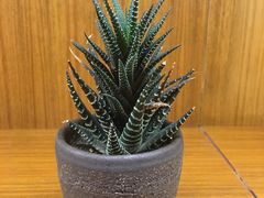 -何师烧烤·香辣蟹·川菜·30年老品牌(太古里旗舰店)