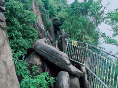 -南山植物园