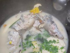 -鲜潭蒸汽石锅鱼(五道口购物中心店)