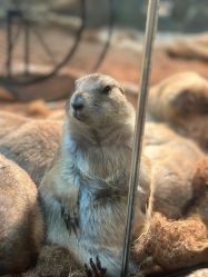 点击看大图 -Zoolung Zoolung动物主题公园(海信广场店)