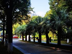 -苏州河梦清园环保主题公园