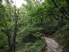 -北京上方山国家森林公园