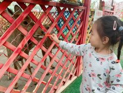 -萌宠亲子动物乐园(槐房万达店)