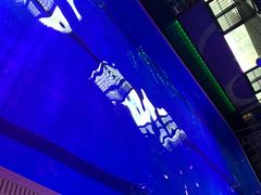 -蓝鲸湾汤泉(包河店)