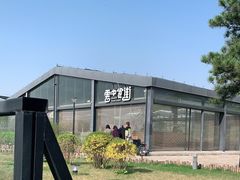 -莫子山·云中食街