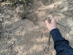 -青龙山国家森林公园