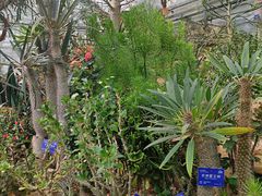 -国家植物园南园