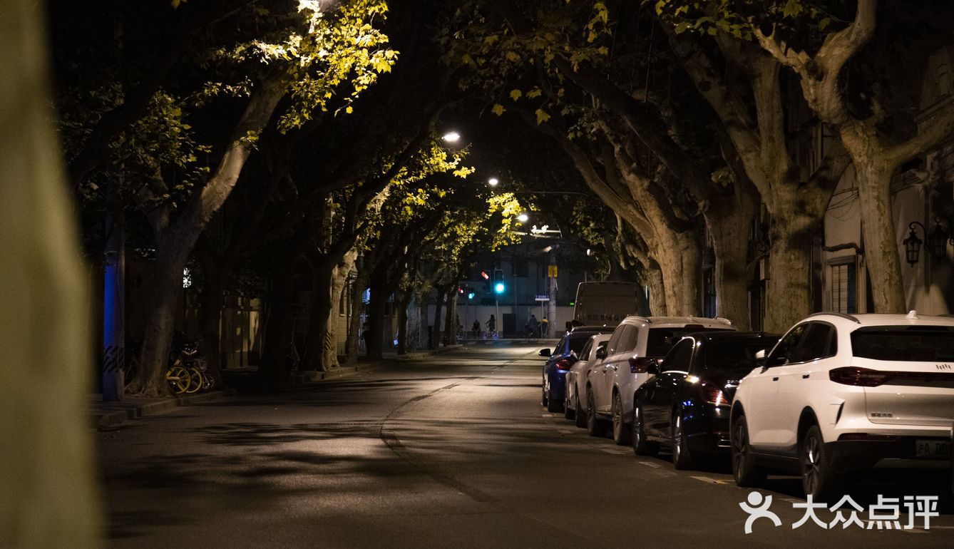 都市夜归人，行走上海马路