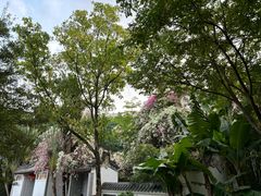 -深圳国际园林花卉博览园