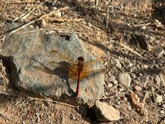 -蟠龙山长城景区