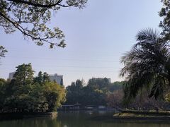 -晓港公园