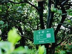 -南山植物园