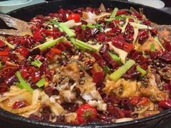 -老板恋上鱼(振华商厦店)