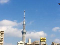 -涩谷区