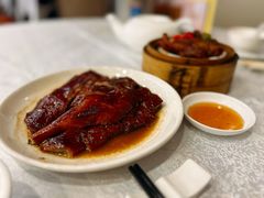 -沙田新强记烧鹅海鲜酒家