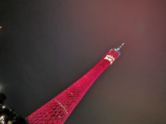 -珠江夜游广州塔·中大码头
