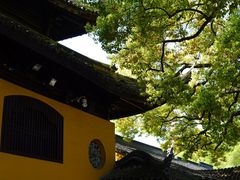 -西园戒幢律寺