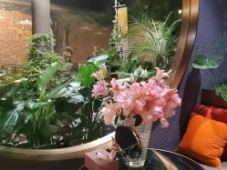 -花隐·美芙炫海菲秀皮肤管理中心