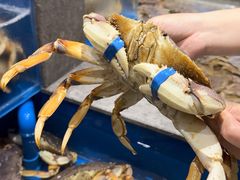 -帝皇海海鲜豆捞(桐泾商务广场店)