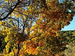 -北京西山国家森林公园