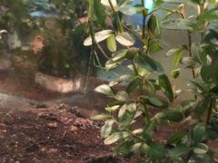 -上海昆虫博物馆