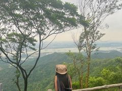 -大雁山风景区