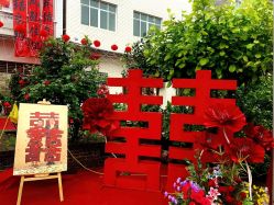 -明典婚礼策划·婚车租赁·婚纱摄影