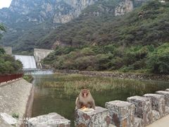 -神农山景区
