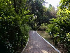 -深圳湾公园(南山区)