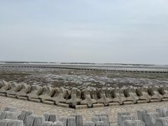 -南汇嘴观海公园