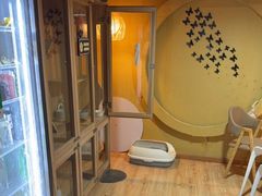 -白兔子密室(长寿路店)