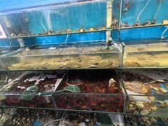 -仙螺岛海鲜自助餐厅(总店)
