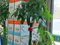 -梨园照相馆·签证照·身份证护照回执采集拍摄网点(北京店)