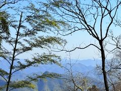-莫干山风景区