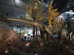 -湖南省地质博物馆