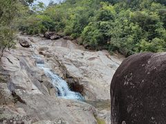 -海南霸王岭国家森林公园