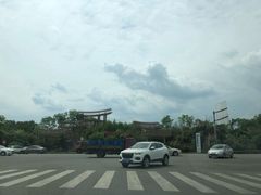 -桤木河湿地公园