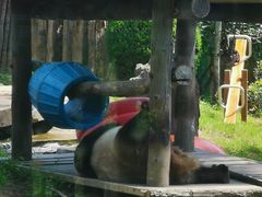 -大连森林动物园