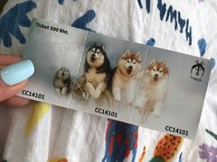 -TrueLove @ Neverland (Husky Cafe)