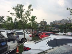 -三圣花乡旅游区